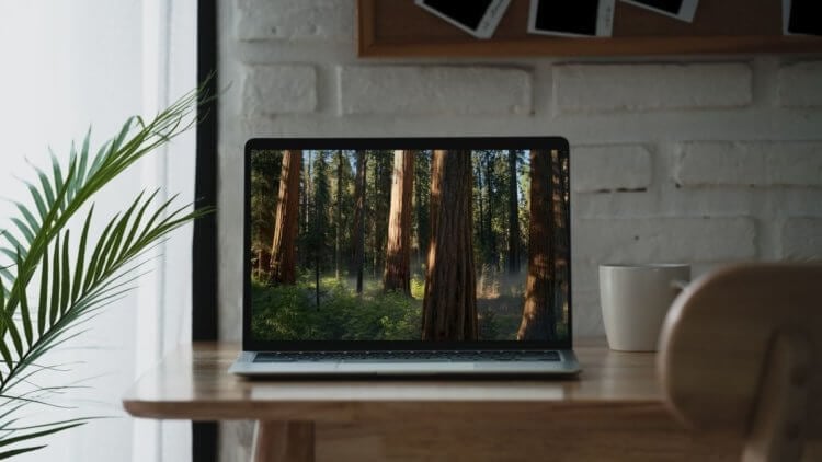 5 настроек macOS Sequoia, которые необходимо изменить сразу после обновления